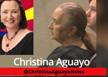Arizona Democrat Sentenced To 10 Years For Embezzling More Than $38 Million In County Funds